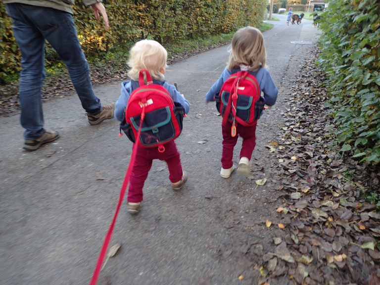 Happy Healthy Parent Safe n Sound Backpack Fernwehkinder